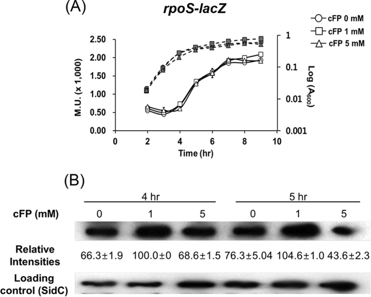 FIG 3