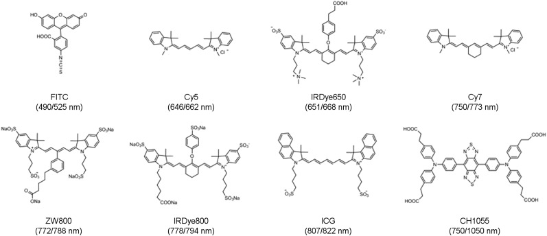 FIGURE 1.