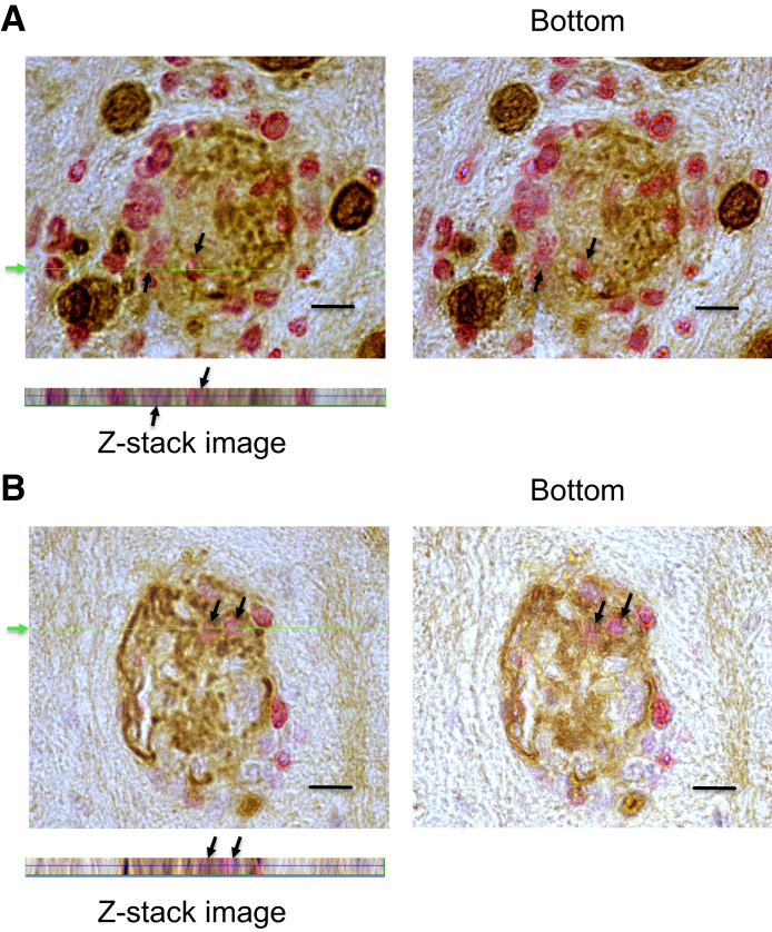 Figure 4