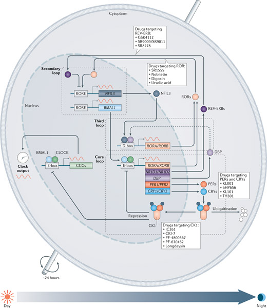 Fig. 2 |