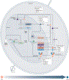 Fig. 2 |