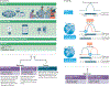 Fig. 4 |