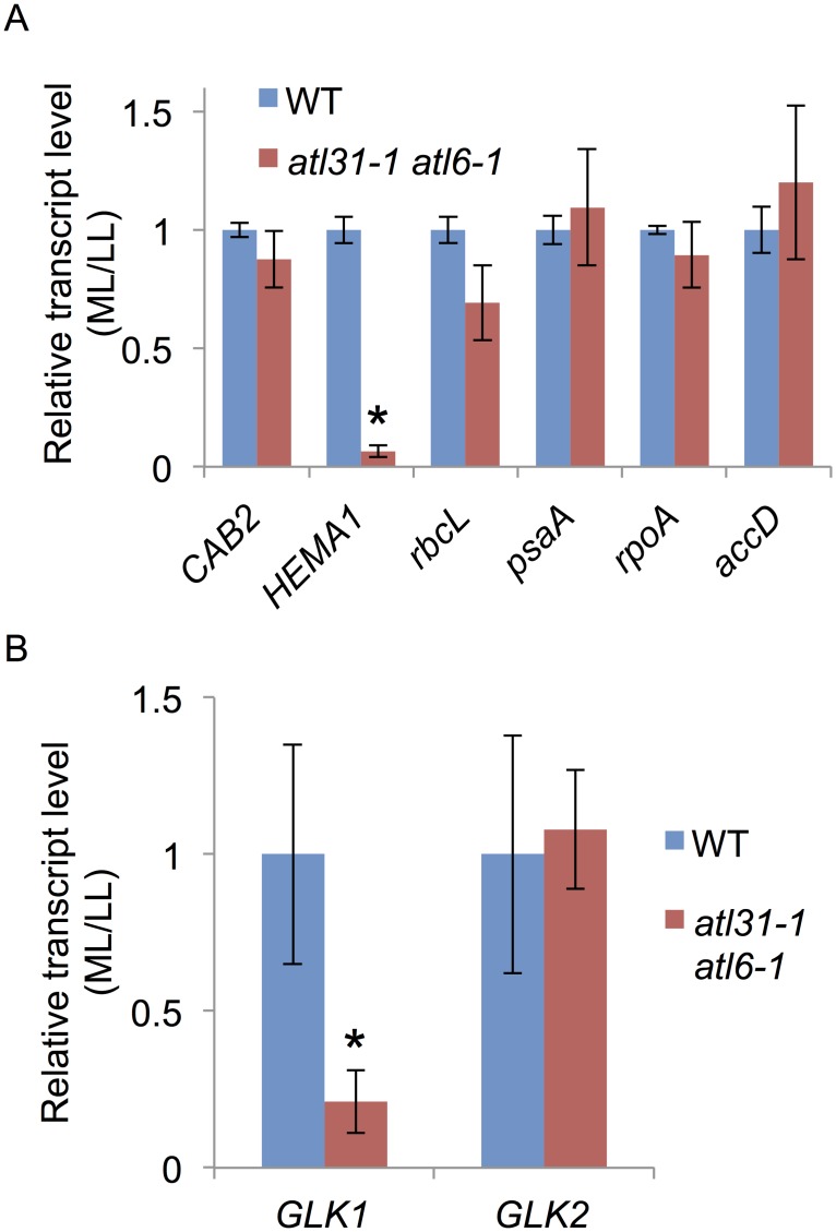 Fig 6