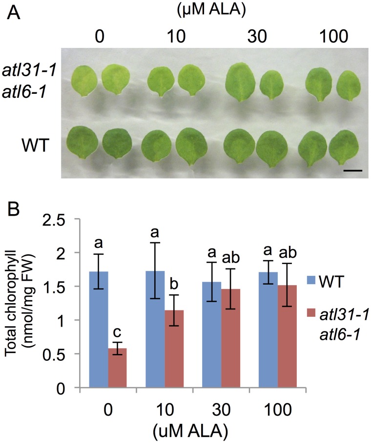 Fig 7