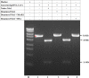 FIG 6