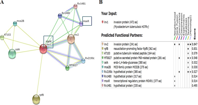 FIG 1 