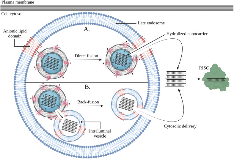 Fig. 7