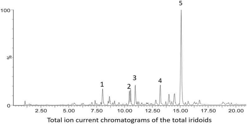 FIGURE 2