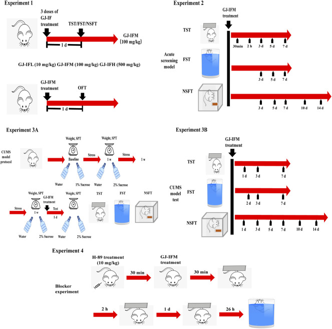 FIGURE 3