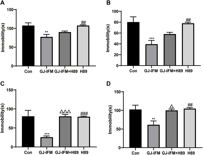 FIGURE 11