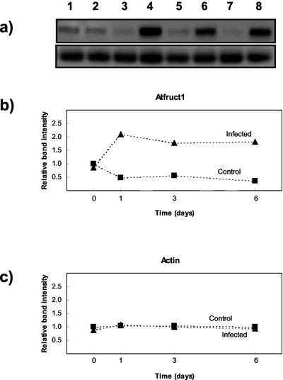 Figure 6.