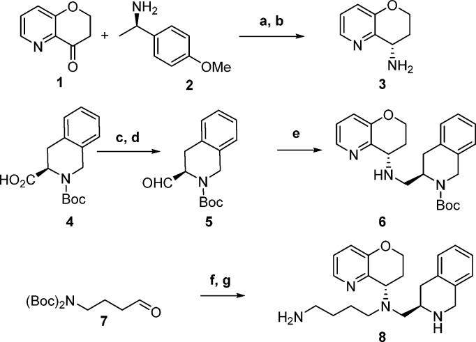 Scheme 1