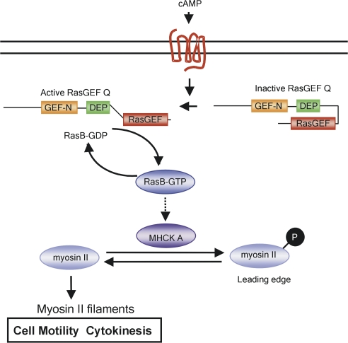 Figure 9.