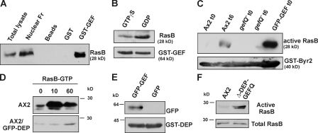 Figure 5.