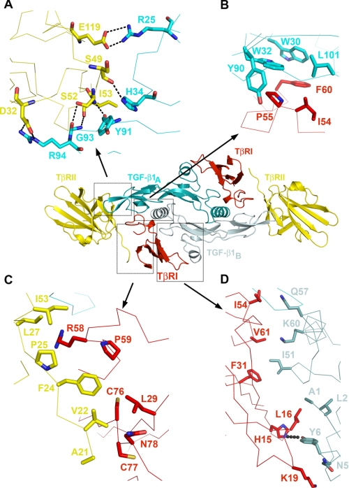 FIGURE 2.