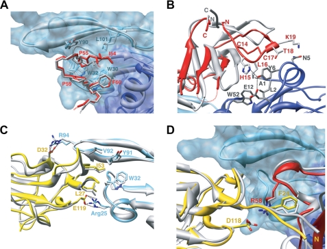 FIGURE 3.