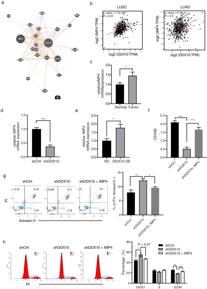 FIGURE 4