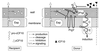 FIG. 7