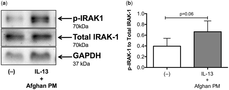 Figure 9.