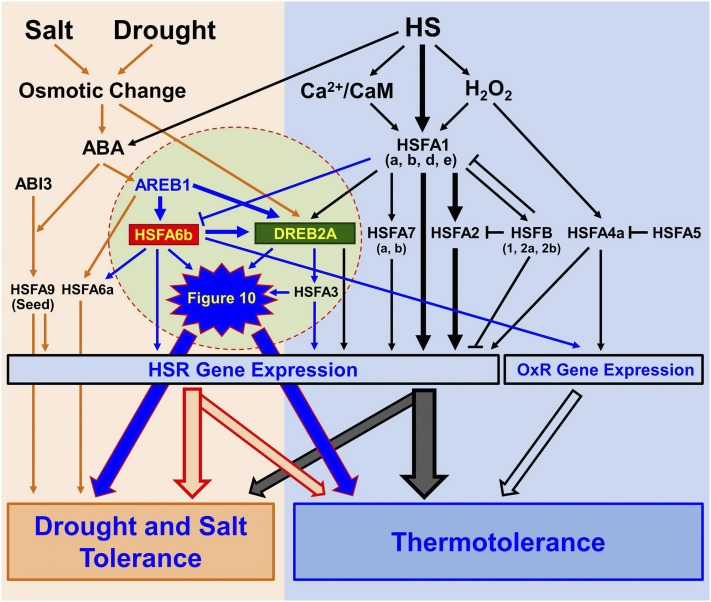 Figure 11.