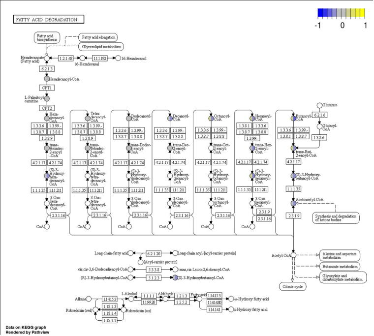 Supplementary figure 2