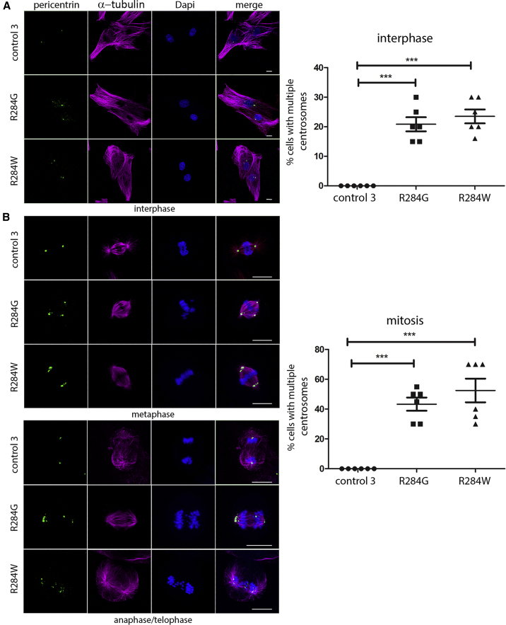 Figure 6