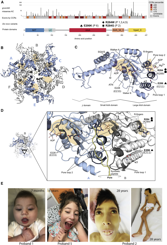 Figure 1