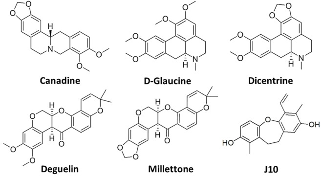 Figure 13