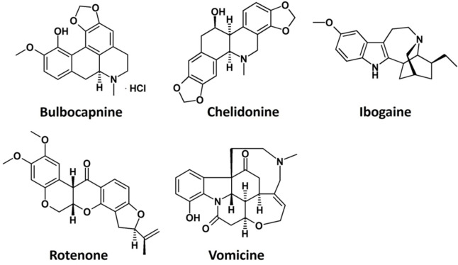 Figure 12