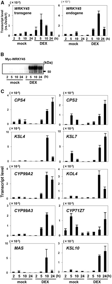 Fig. 3