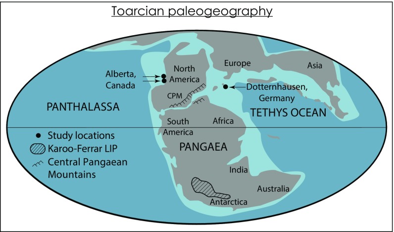 Fig. 2.