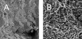 Figure 5: