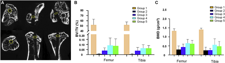 Fig. 3