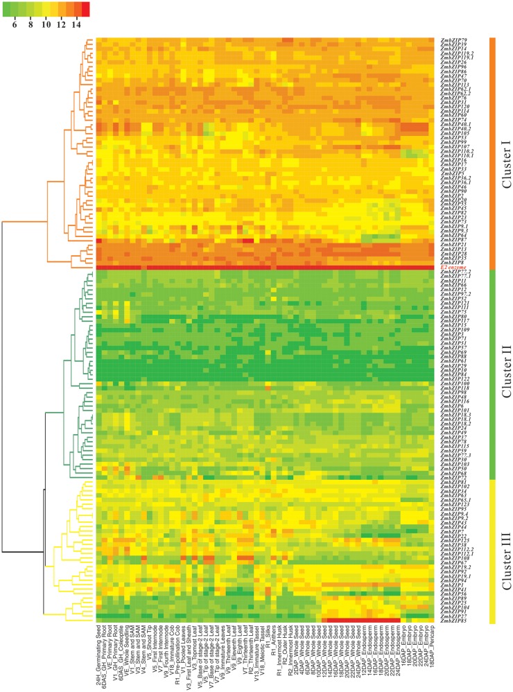 Figure 3.