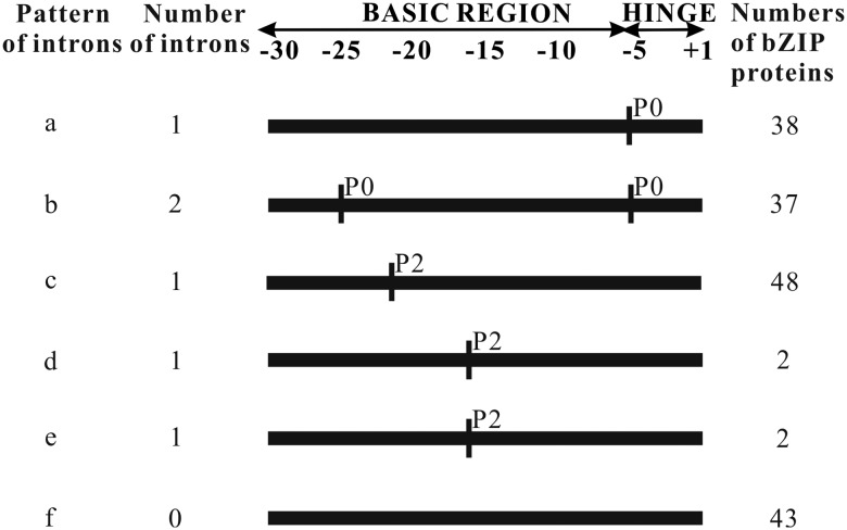 Figure 1.