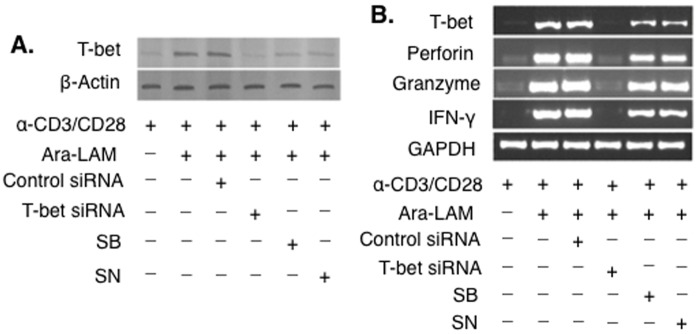 Fig 5