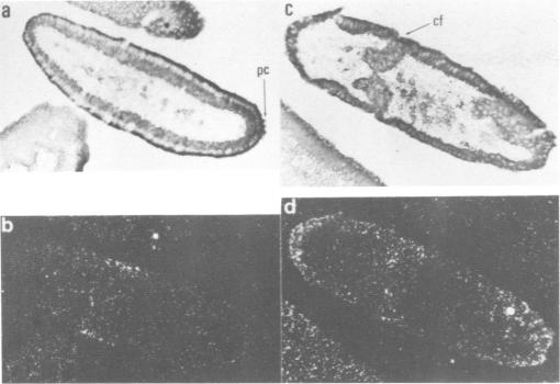 Fig. 9.