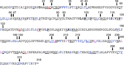 Fig. 8.