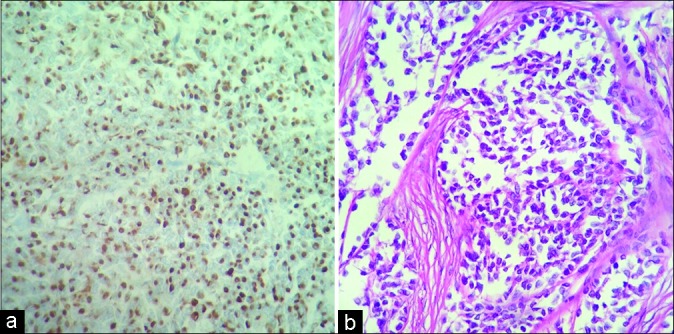 Figure 4: