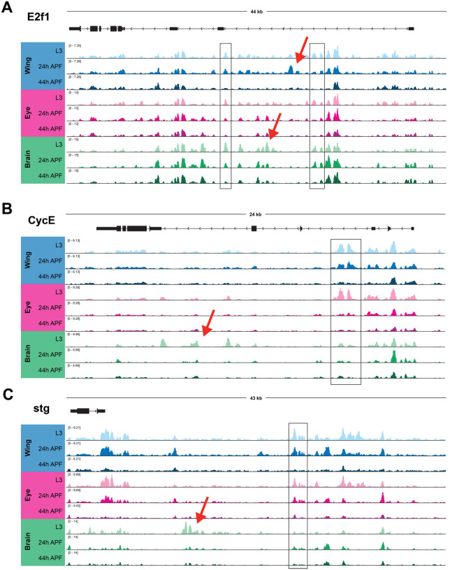 Figure 4.