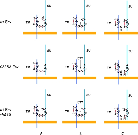 FIG. 8.