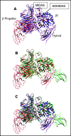 Figure 5.
