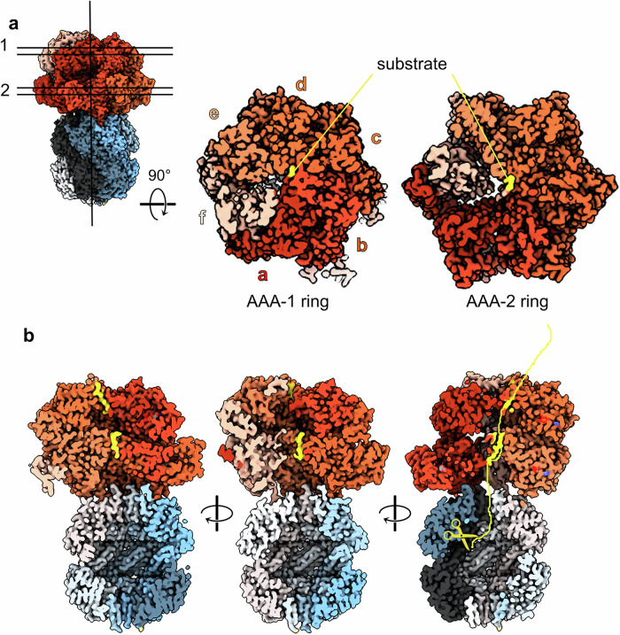 Fig. 3