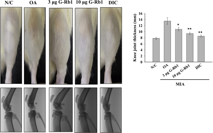 Fig. 2