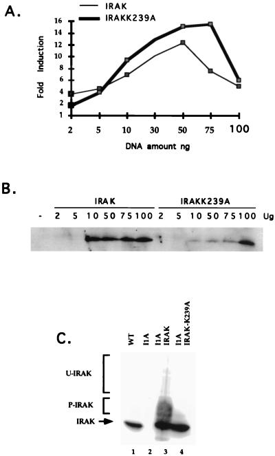 FIG. 6