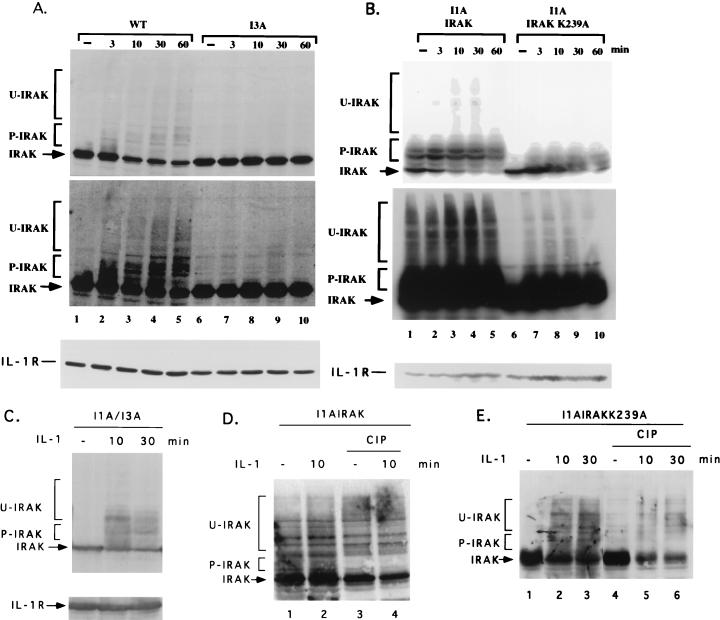 FIG. 10