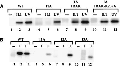 FIG. 7