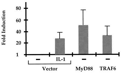 FIG. 11