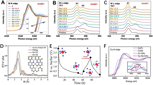 FIGURE 3