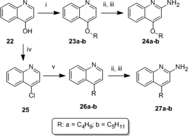 Scheme 3